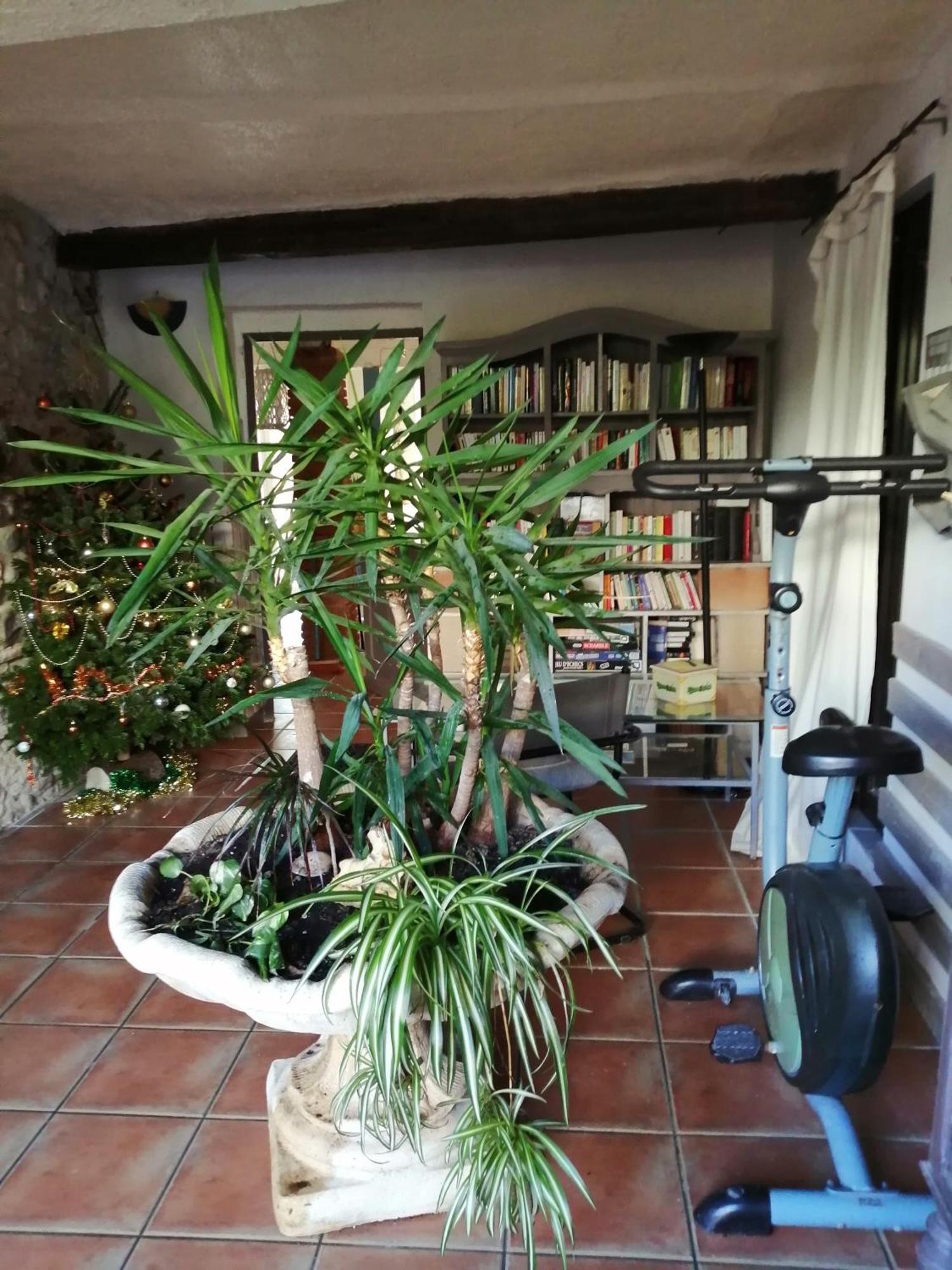 Belle Maison De Caractere Dans Village Et Sa Piscine Privee 7 Pers- 3 Chambres - 12 Rue Emile Zola Millas Eksteriør bilde